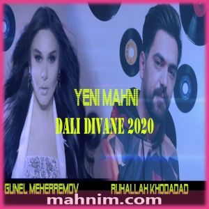 Deli Divane (Ruhallah Khodadad duet)