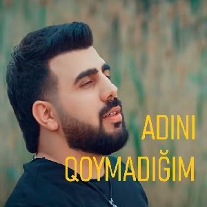 Adını qoymadığım