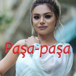 Paşa Paşa
